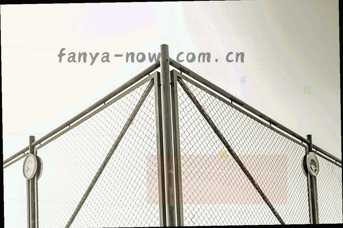 注册引导、进度查询、常用页面收藏、版本对比四类内容与编辑校验岗位之间关系的抽象结构图